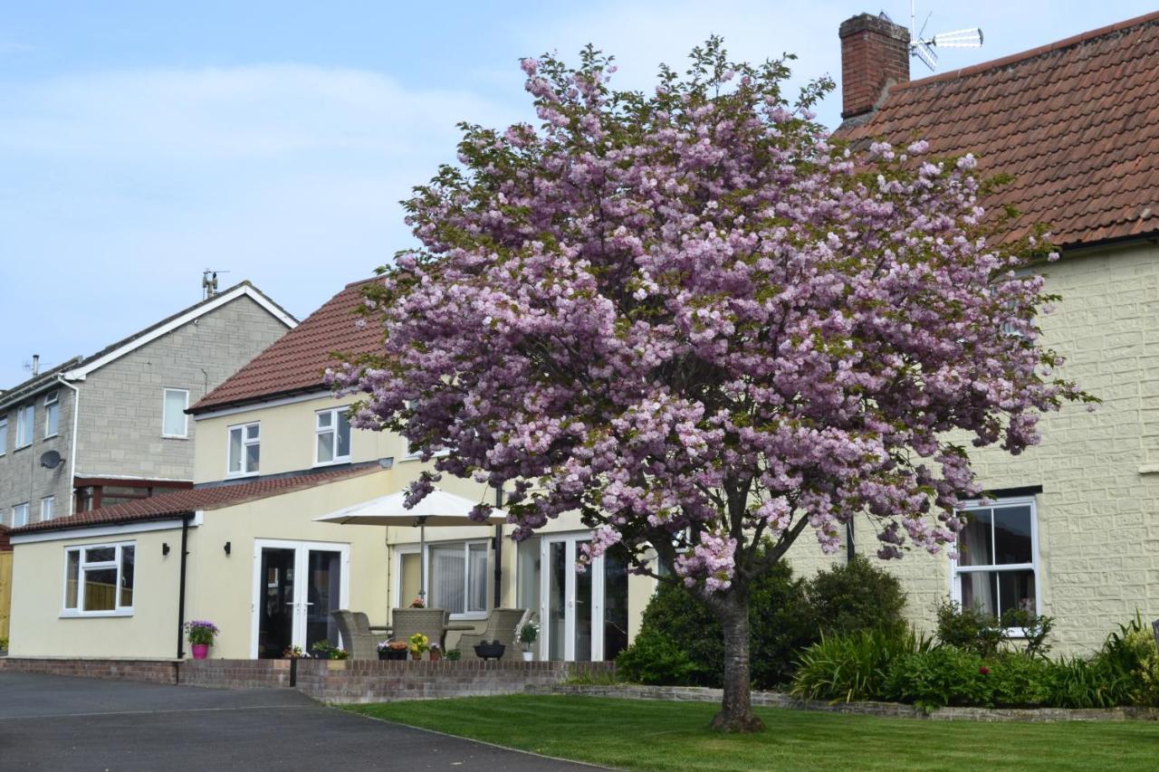Bed & Breakfast The Lawns Tea And