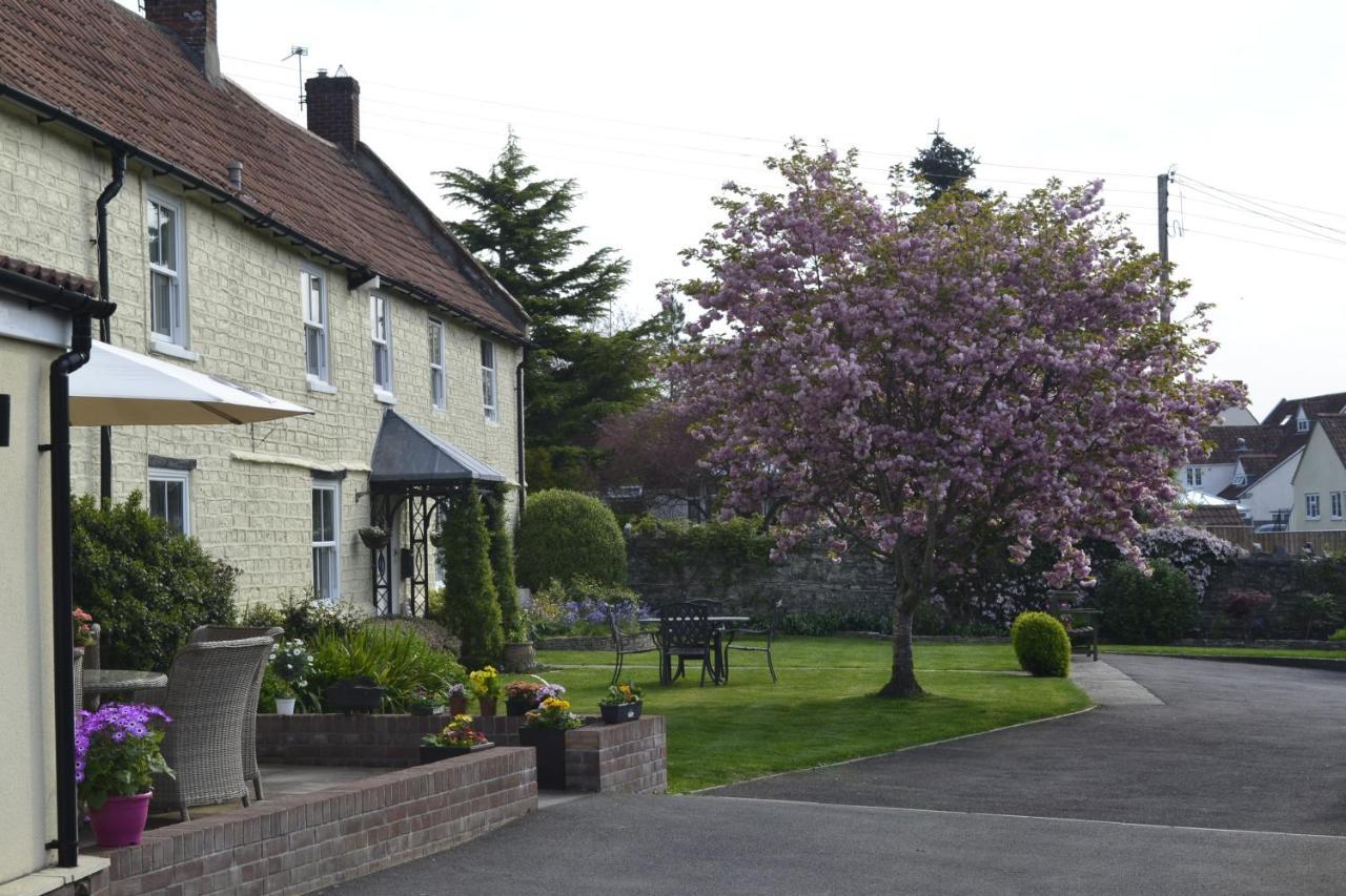 Bed & Breakfast The Lawns Tea And Ashcott